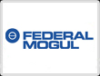 Federal-Mogul